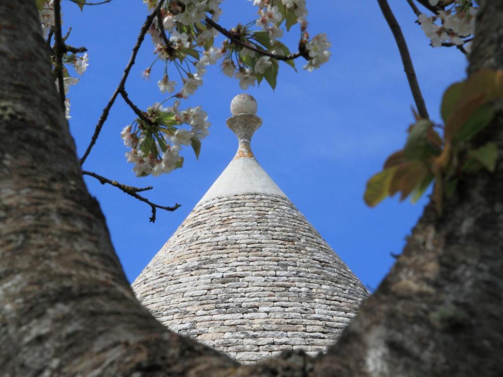 Pietraluce Hostal Alberobello Exterior foto